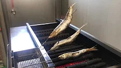 KOSEI GRILL Vide258　KA-G,KA-KL mode,fishes