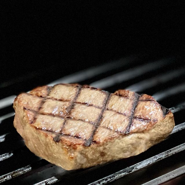 KOSEI GRILL・天然炭を併用できるガスグリラーの倖生炭グリラー 焼き台